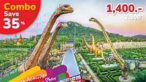 Hop-On Hop-Off Bus Tours and Nongnooch Pattaya Combo