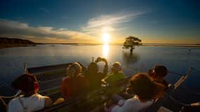 Kissimmee: Boggy Creek Sunset Airboat-tur