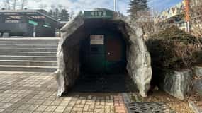 Seúl: DMZ, 3er Túnel, Odusan o Suspensión Tour Privado