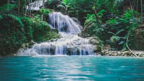 Hike in The Karura Forest