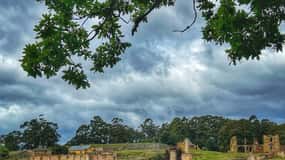 Hobart : Port Arthur, croisière commentée et visite de l'île des morts