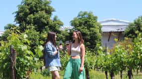 Santa Rita Vineyard Tour with Lunch, an Unforgettable Day!