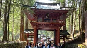 Tour privato di Nikko da e per Tokyo fino a 12 ospiti