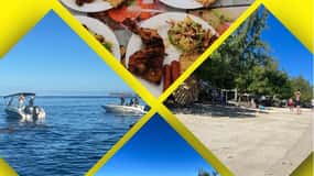 Ile aux Benitiers / Simma med delfiner / snorkling / lunch /