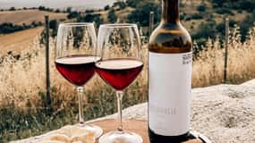 Esperienza in fattoria e degustazione di vini La Maliosa