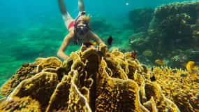 Private Snorkeling Gili Gede, GIli Asahan, Gili Goleng Tour