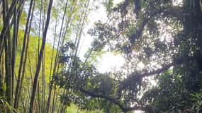 Slide into adventure : Hiking and natural slides