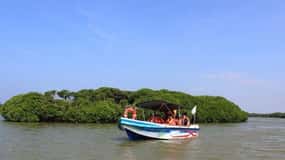 Colombo/Negombo: Muthurajawela & Dutch Canal Boat Adventure