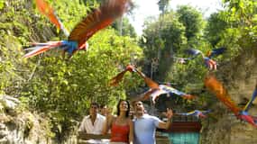 From Riviera Maya: Complete Combo to Xcaret Park!
