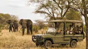 Richards Bay: Hluhluwe Imfolozi Game Reserve Half-Day Tour