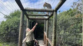 Plettenberg Bay: EcoKidz Family Wildlife Tour