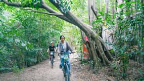 Bangkok Green Oasis Nature Bike Tour