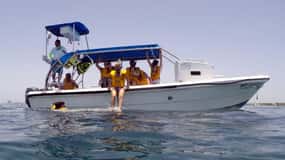Z Cancun: Snorkeling z żółwiami