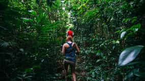 Dominica Hiking Adventures