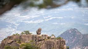 Huangshan: Mountain Top Day Trip with Cable Car and Pickup
