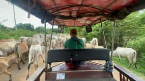 Passeio à tarde por Battambang, área local e pontos de referência