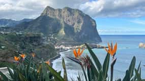 Madeira: Acantilado Vereda Larano Senderismo Machico