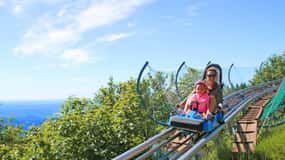 Stresa: Alpyland Alpine Coaster Ride on Mount Mottarone