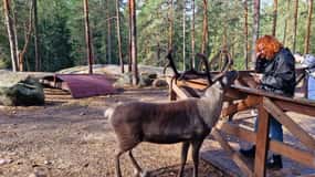 PRIVATE Reindeer Park Adventure by VIP Car