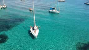 From Stintino: Half-Day Sailing Boat Tour to Asinara