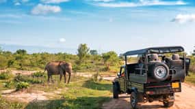 Sri Lanka Green Bless- 2-day Private Trip To Enjoy Nature