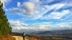 Montona: Tour in bicicletta elettrica in Istria