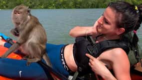 Ko Lanta: Private Mangrove Kayaking & Cave Exploration Tour