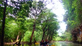Ishigaki: Mangrove River Canoe + Phantom Island Snorkeling