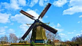 VIP Keukenhof Gardens & Dutch Countryside Private Tour