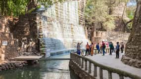 Highlights of the Chandigarh (Guided Half Day City Tour)