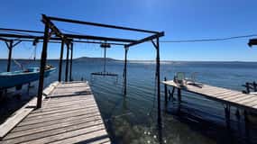 Montpellier: Excursion around the Thau lagoon - visits and tasting