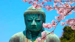 From Tokyo: Kamakura and Enoshima Full-Day Private Trip