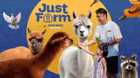 Selangor : Just Farm at Just Pets Megastore Ticket