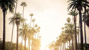 Tour privato di 4 ore a Los Angeles: Beverly Hills e altro ancora