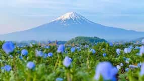 Fuji Dağı ve Kawaguchiko Gölü Teleferiği, Oshino Hakkai 1 Günlük Tur