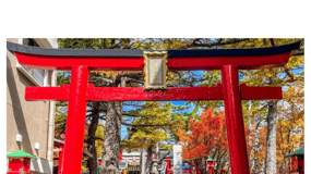 Tokyo: Mount Fuji & Hakone Private Car Day Tour Lowest Price