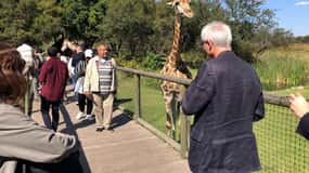 From Johannesburg: Cradle of Humankind and Lion Safari
