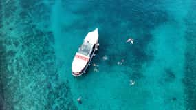 Podstrana: Passeio de barco de um dia inteiro para Brač e o naufrágio de Kontesa