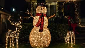 New York: Dyker Heights Christmas Lights Guided Tour