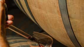 Montalcino: Backstage Brunello & Gourmet Wine-Food Tasting