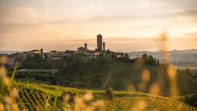 Barbaresco: Entree ticket Toren van Barbaresco