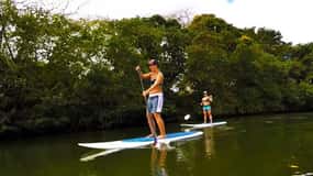 Oahu: North Shore Adventure Tour with Lunch