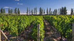3 dias de vinho e montanha em Mendoza