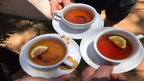 Tea Farm Tour From Nairobi (Kiambethu).