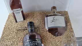 Signature Whisky Tour - Hobart & SE Tasmania
