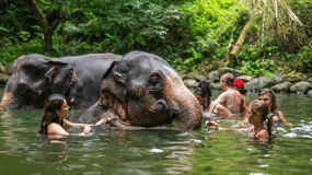 Khao Lak: Elephant Camp, Bamboo Rafting, and Waterfall Tour