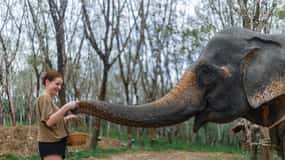 Khao Lak : Excursion écologique d'une heure dans le sanctuaire des éléphants avec navette