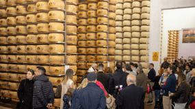 Degustación y visita de la fábrica de queso parmesano cerca de Módena