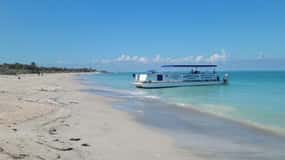 From Treasure Island: Dolphin Watching and Shelling Cruise