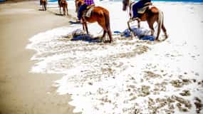 Cabo San Lucas: Horseback Riding on the Beach Experience